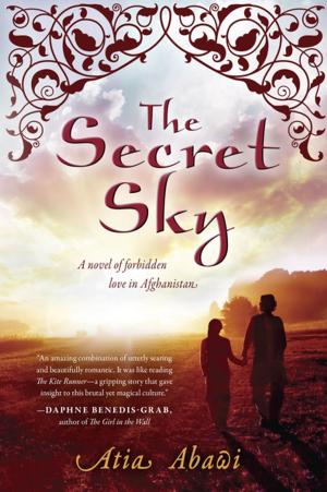 Cover of the book The Secret Sky by Anna Dewdney
