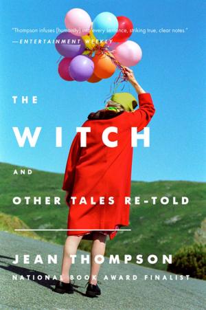 Cover of the book The Witch by Gail Sher