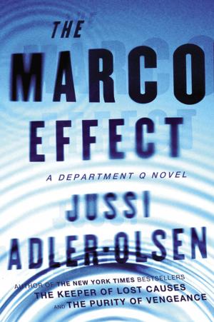 Cover of the book The Marco Effect by Jennifer Belle