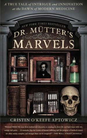 Cover of the book Dr. Mutter's Marvels by Whitley Strieber, Jeffrey J. Kripal
