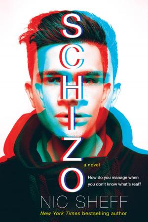 Book cover of Schizo