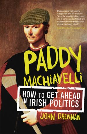 Cover of the book Paddy Machiavelli – How to Get Ahead in Irish Politics by Donnacha Ó Beacháin