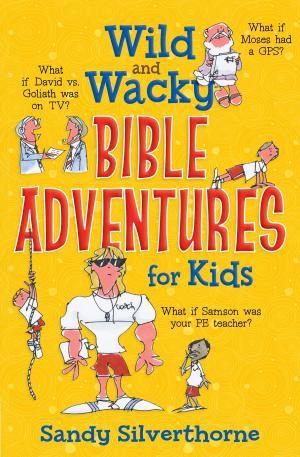 Cover of Wild and Wacky Bible Adventures for Kids