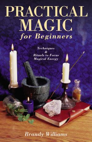Cover of the book Practical Magic for Beginners by Sue Ann Jaffarian