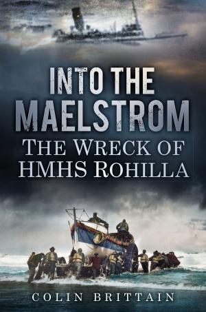 Cover of the book Into the Maelstrom by Ian Valentine