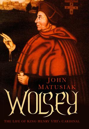 Cover of the book Wolsey by John Laffin
