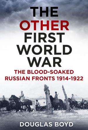 bigCover of the book Other First World War by 
