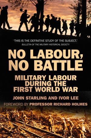 Cover of the book No Labour, No Battle by Kelly Kazek