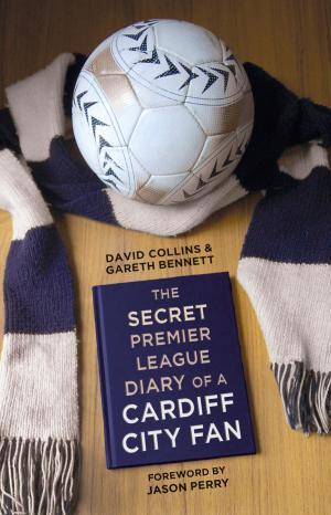 Book cover of Secret Premier League Diary of a Cardiff City Fan