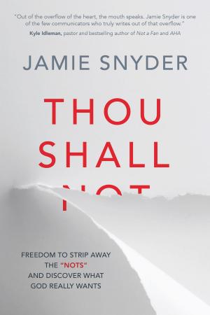 Cover of the book Thou Shall by Rebecca Hagelin