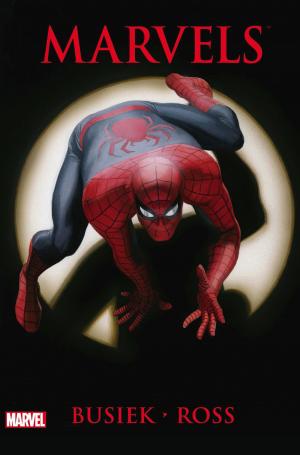 Cover of the book Marvels by Dan Slott