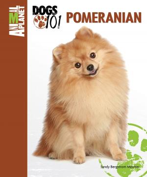 Cover of the book Pomeranian by Christine Church