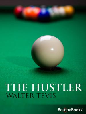 Cover of the book The Hustler by Donald C. Farber