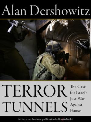 Cover of the book Terror Tunnels by Susan Page