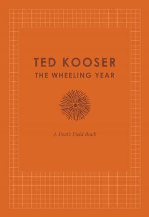Cover of the book The Wheeling Year by Mister Construed X