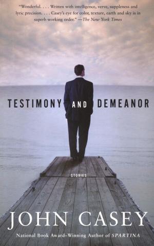 Cover of the book Testimony and Demeanor by Gabriel García Márquez