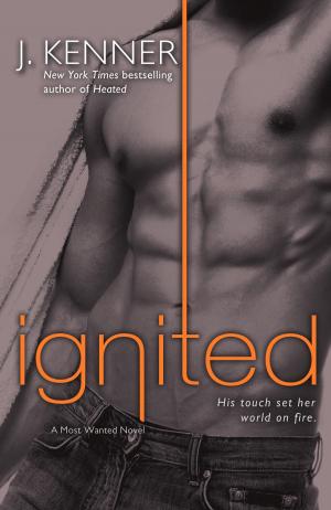 Cover of the book Ignited by Jennifer Ryan