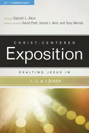 Book cover of Exalting Jesus in 1,2,3 John