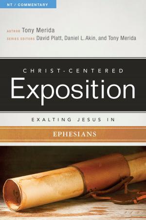 Cover of Exalting Jesus in Ephesians