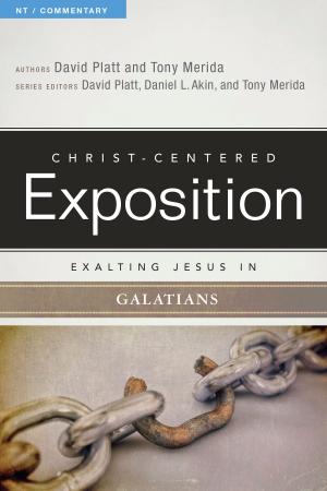 Book cover of Exalting Jesus in Galatians