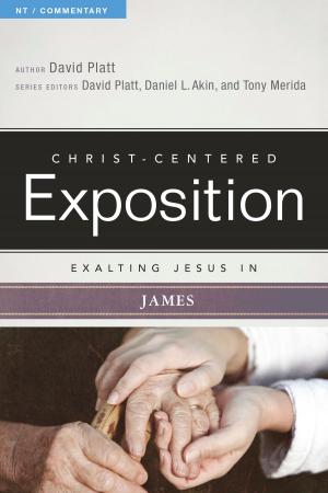 Book cover of Exalting Jesus In James