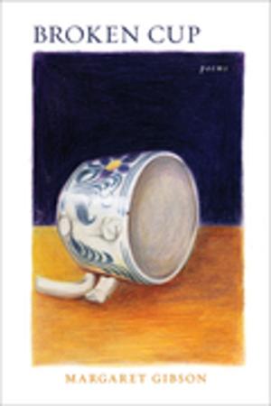 Cover of the book Broken Cup by Benjamin R. Justesen