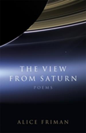 Cover of the book The View from Saturn by Charles N. deGravelles