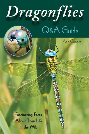 Cover of the book Dragonflies: Q&A Guide by Patrick Agte