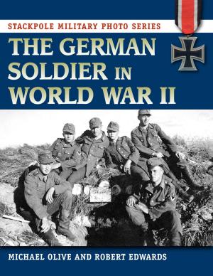 Book cover of The German Soldier in World War II