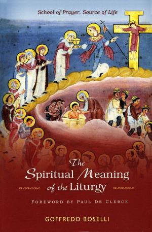 Book cover of The Spiritual Meaning of the Liturgy