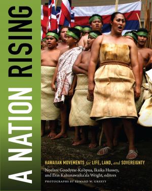 Cover of the book A Nation Rising by Andre Brazin, Mark Andrew Cohen, Serge Daney, Philip Rosen