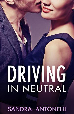 Cover of the book Driving In Neutral by Tamsin Baker