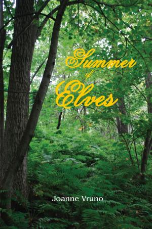 Cover of the book Summer of Elves by D.A. Lampi