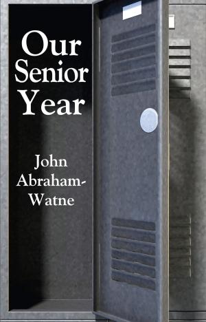 Cover of the book Our Senior Year by Joanne Vruno