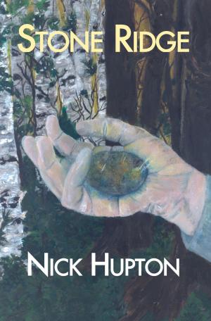 Book cover of Stone Ridge