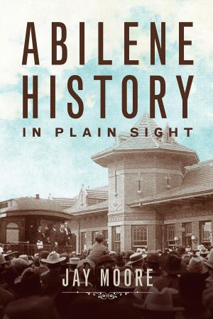 Cover of the book Abilene History in Plain Sight by Greg Taylor