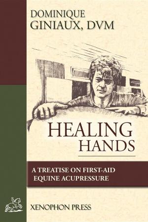 Cover of the book Healing Hands by Faverot de Kerbrech