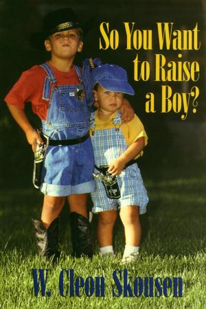 Cover of the book So You Want to Raise a Boy? by Richard N. Skousen