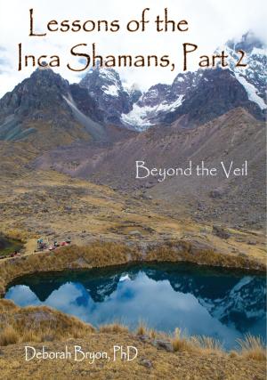 Cover of Lessons of the Inca Shamans, Part 2: Beyond the Veil