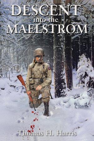 Cover of the book Descent Into The Maelstrom by Richard Marshall