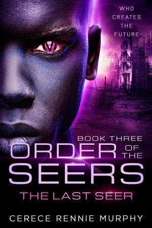 Cover of the book Order of the Seers: The Last Seer by Ken Temple