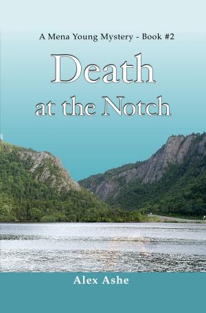 Book cover of Death at the Notch