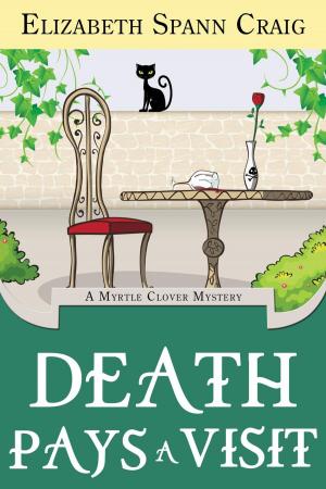 Cover of the book Death Pays a Visit by Lynda L. Lock