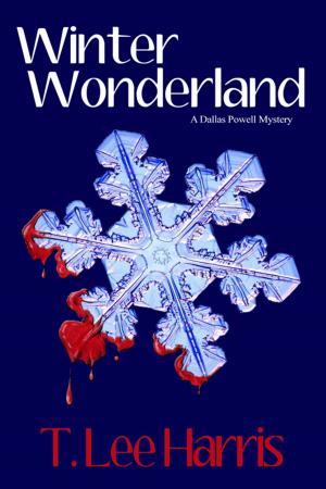 Cover of the book Winter Wonderland by Susan Slater