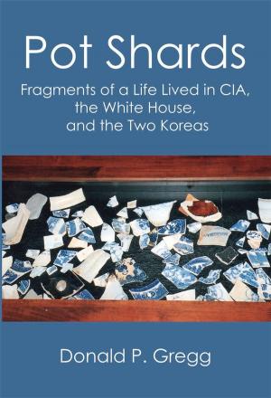Cover of the book Pot Shards: Fragments of a Life Lived in CIA, the White House, and the Two Koreas by K. E. Chaloner