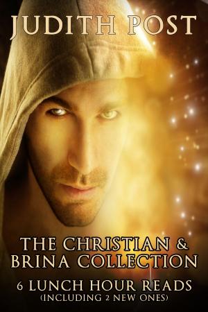 Cover of the book The Christian & Brina Collection by Emilie Rose