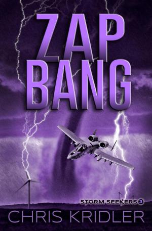 Cover of the book Zap Bang by Rob Cornell