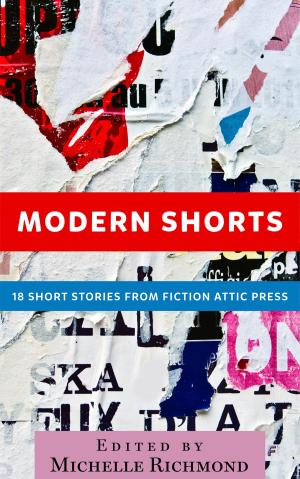 Cover of the book Modern Shorts by Carrie Vaught