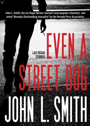 bigCover of the book Even a Street Dog by 