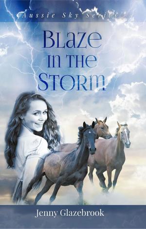 Cover of Blaze in the Storm